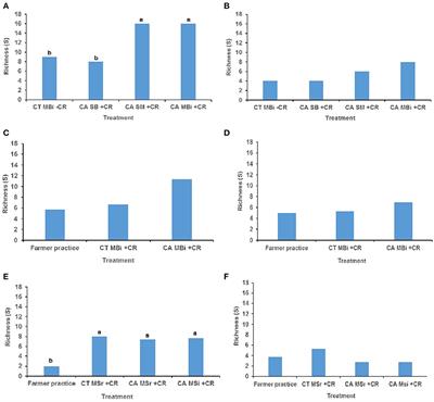 Conservation Agriculture Enhances Soil Fauna Richness and Abundance in Low Input Systems: Examples From Kenya